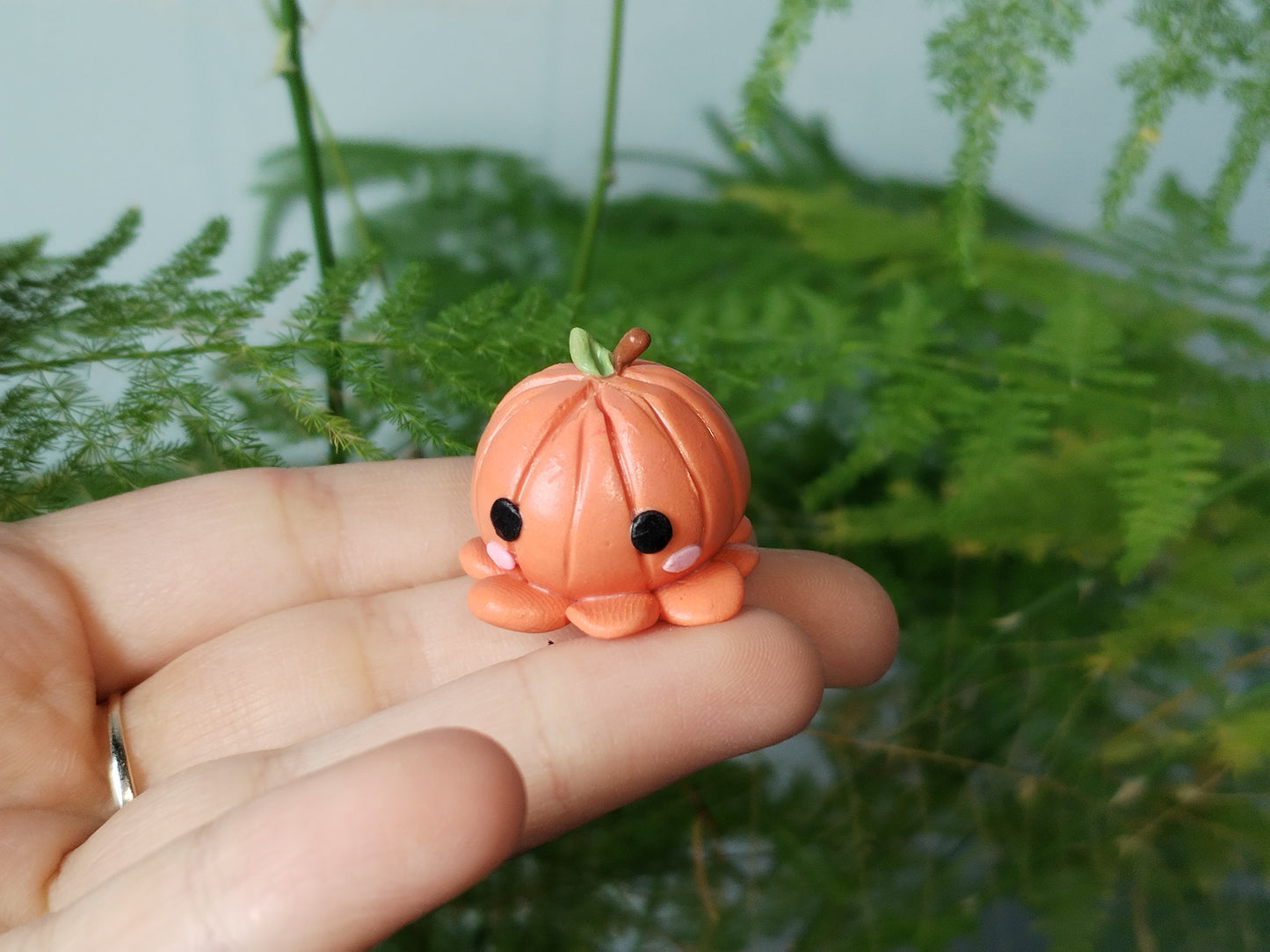 Limited Edition Pumpkin Octopus