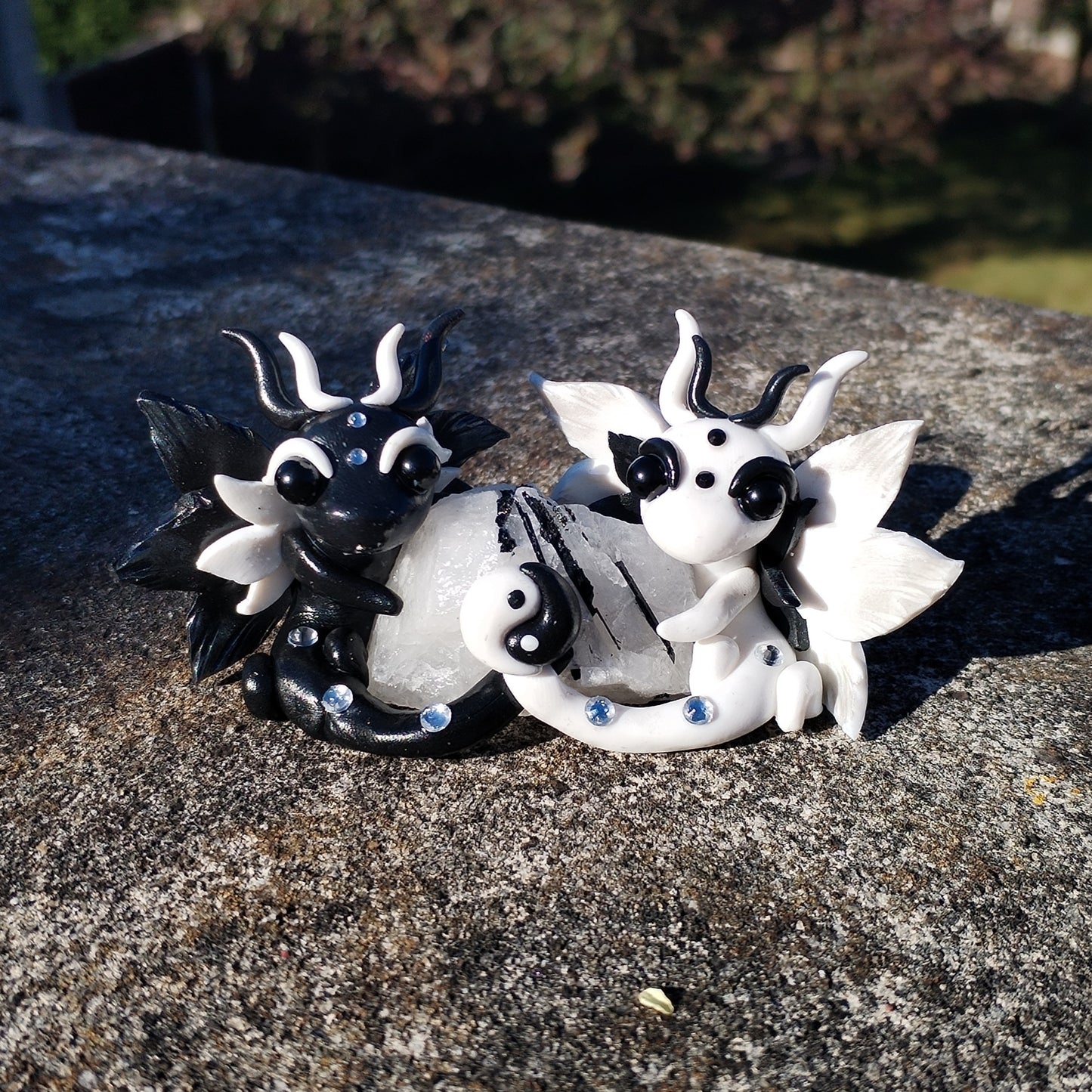 Yin Yang Tourmalated Quartz Crystal Dragon