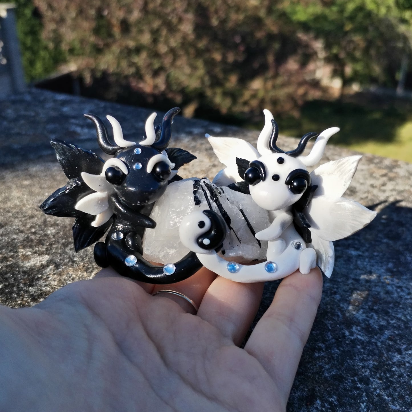 Yin Yang Tourmalated Quartz Crystal Dragon