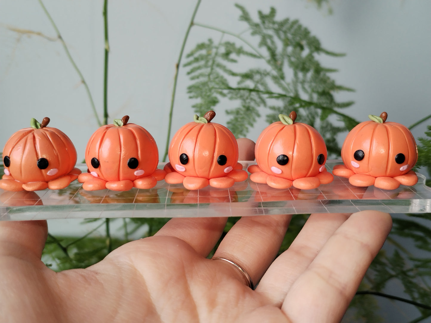 Limited Edition Pumpkin Octopus