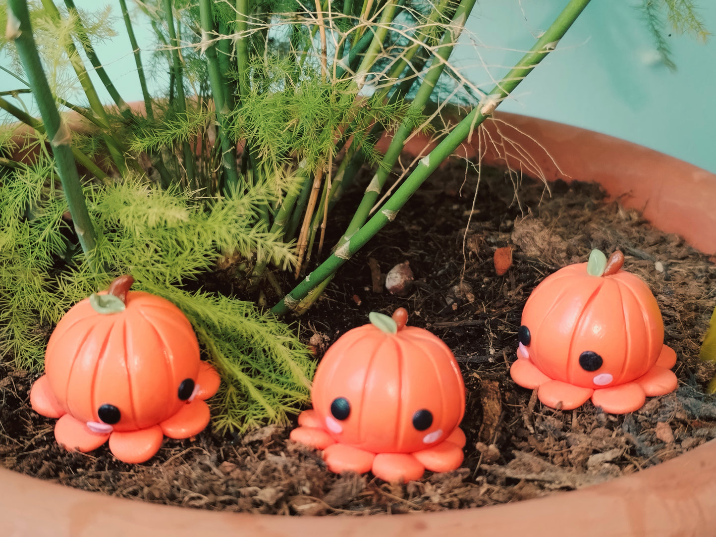 Limited Edition Pumpkin Octopus