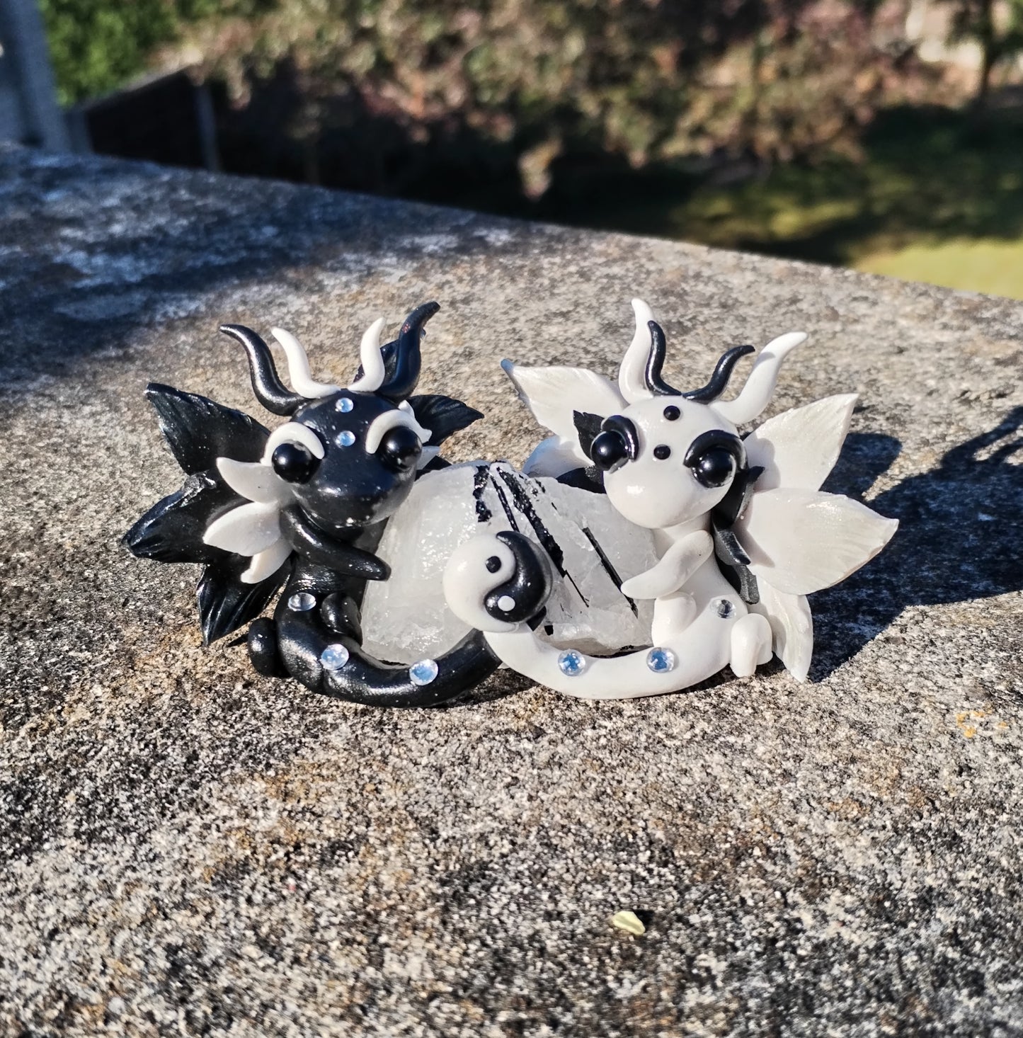 Yin Yang Tourmalated Quartz Crystal Dragon