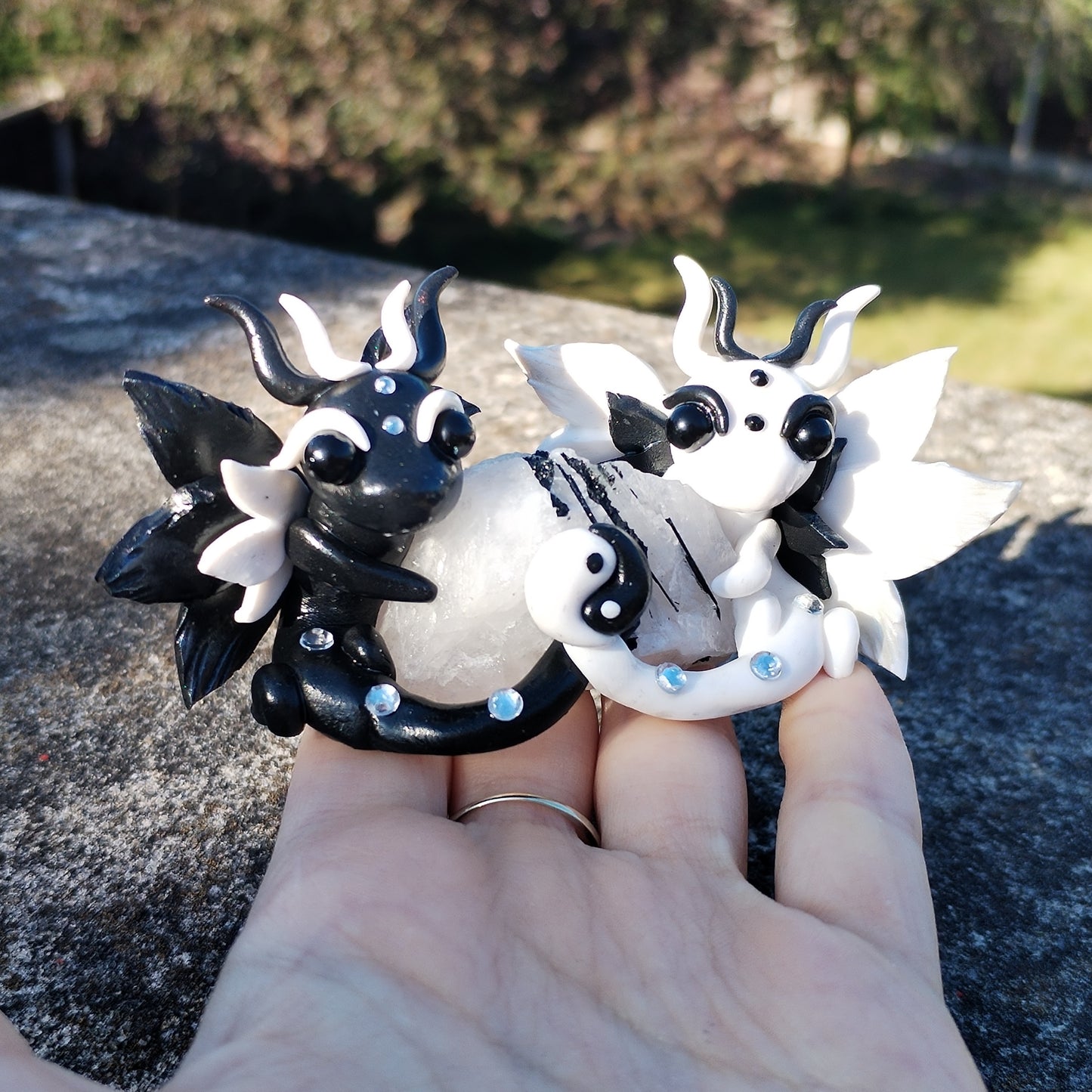 Yin Yang Tourmalated Quartz Crystal Dragon