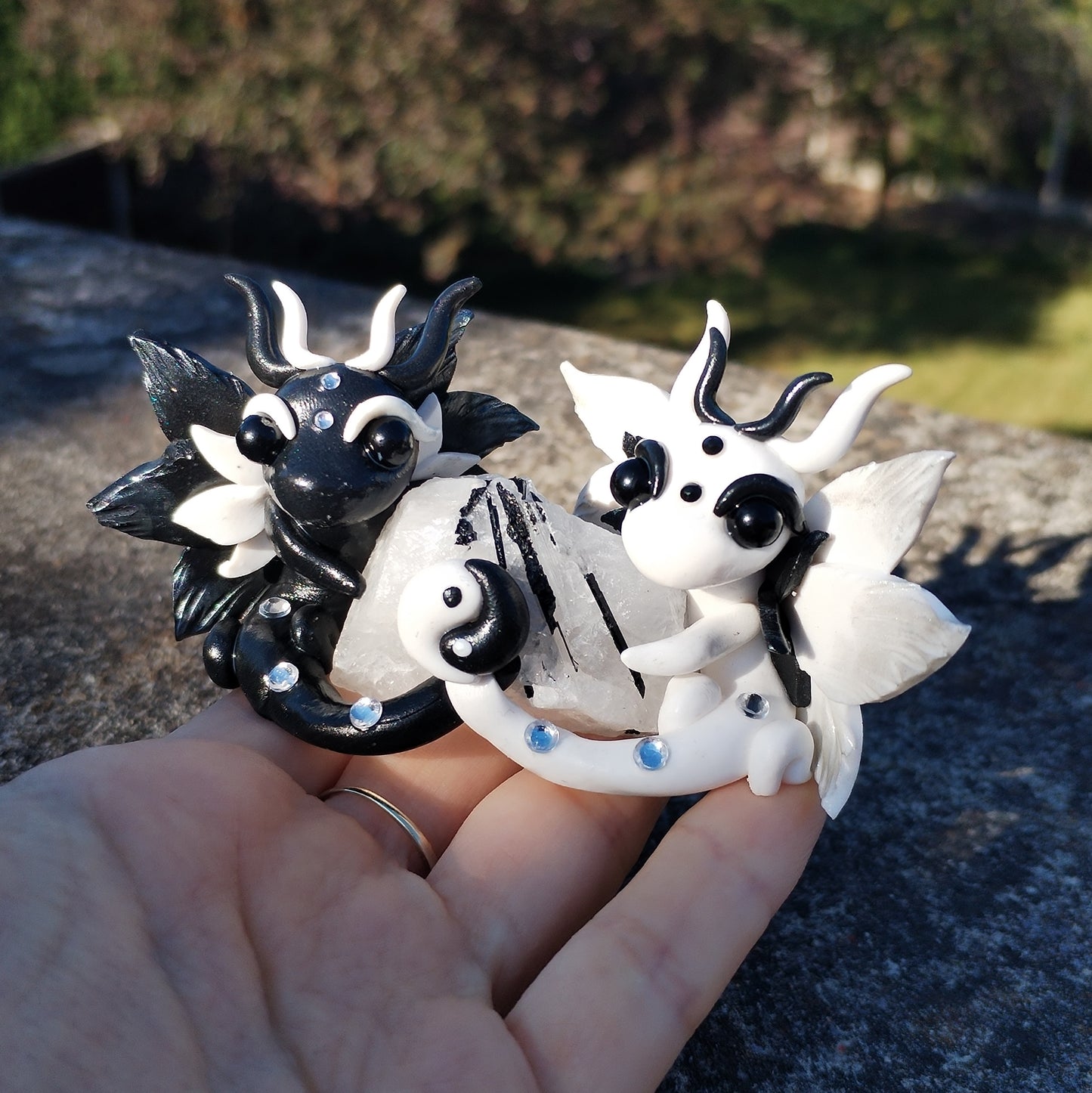 Yin Yang Tourmalated Quartz Crystal Dragon
