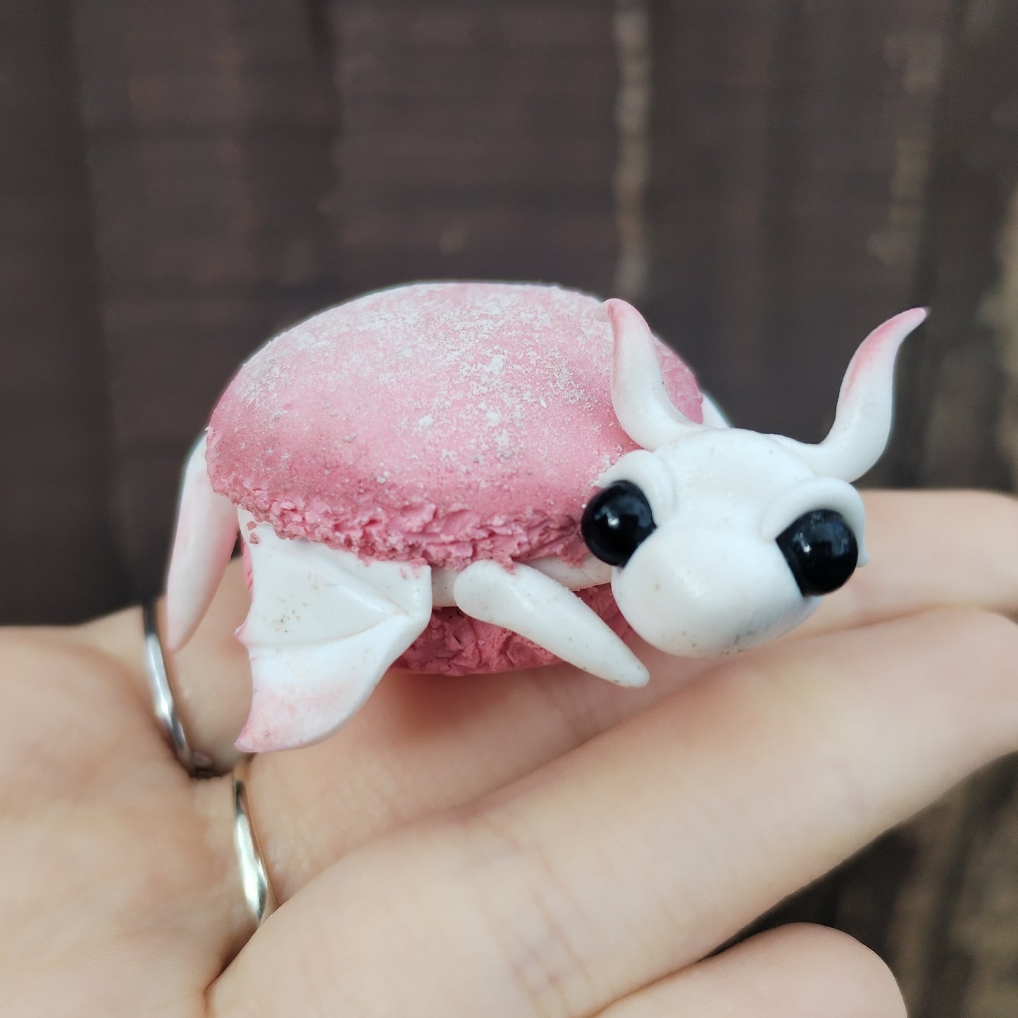 Food Series Dragon M - Macaron