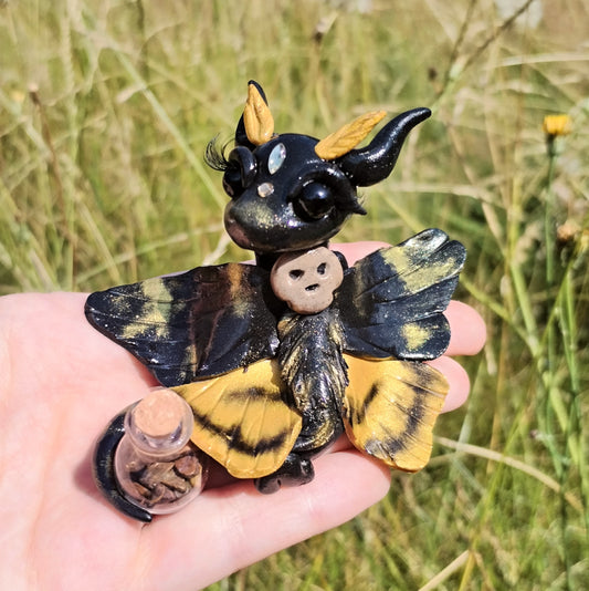 Deaths Head Moth Crystal Dragon