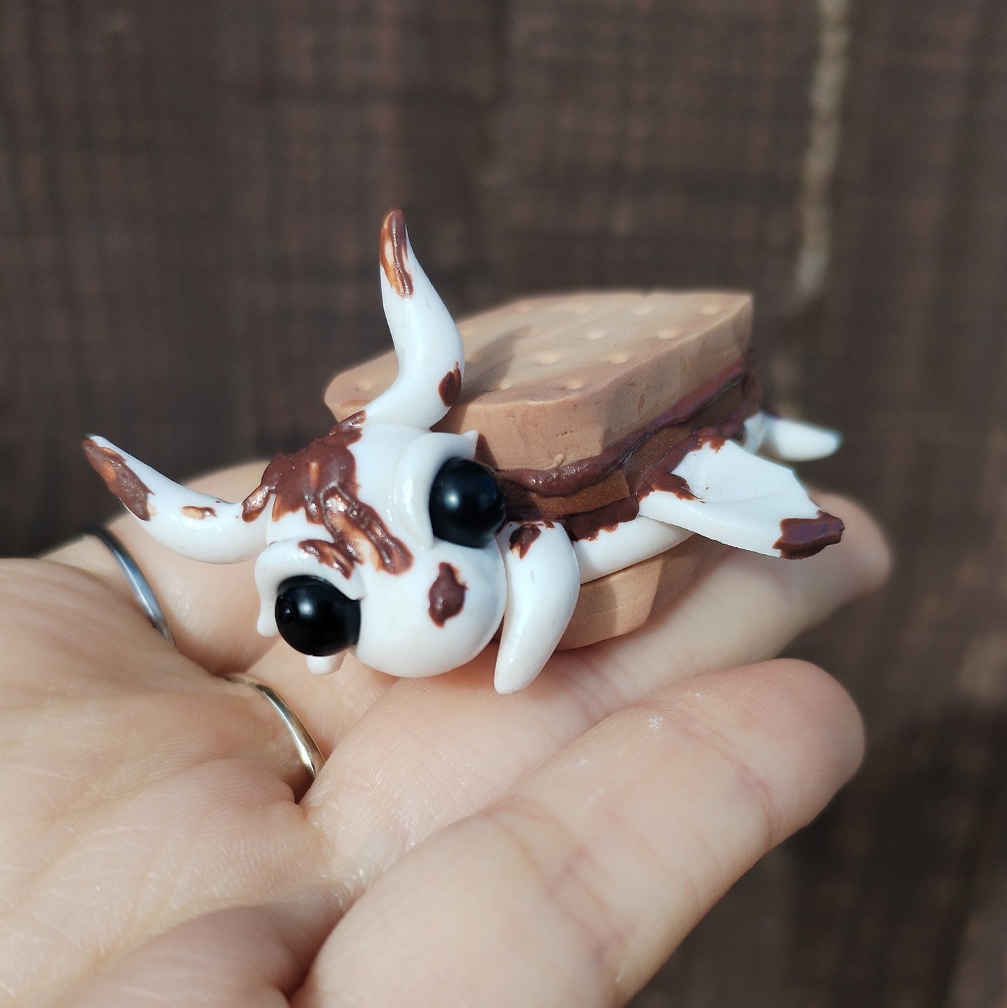 Food Series Dragon S - S'mores