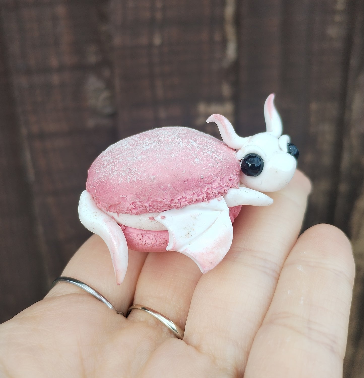 Food Series Dragon M - Macaron