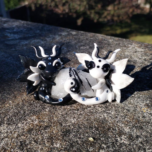Yin Yang Tourmalated Quartz Crystal Dragon