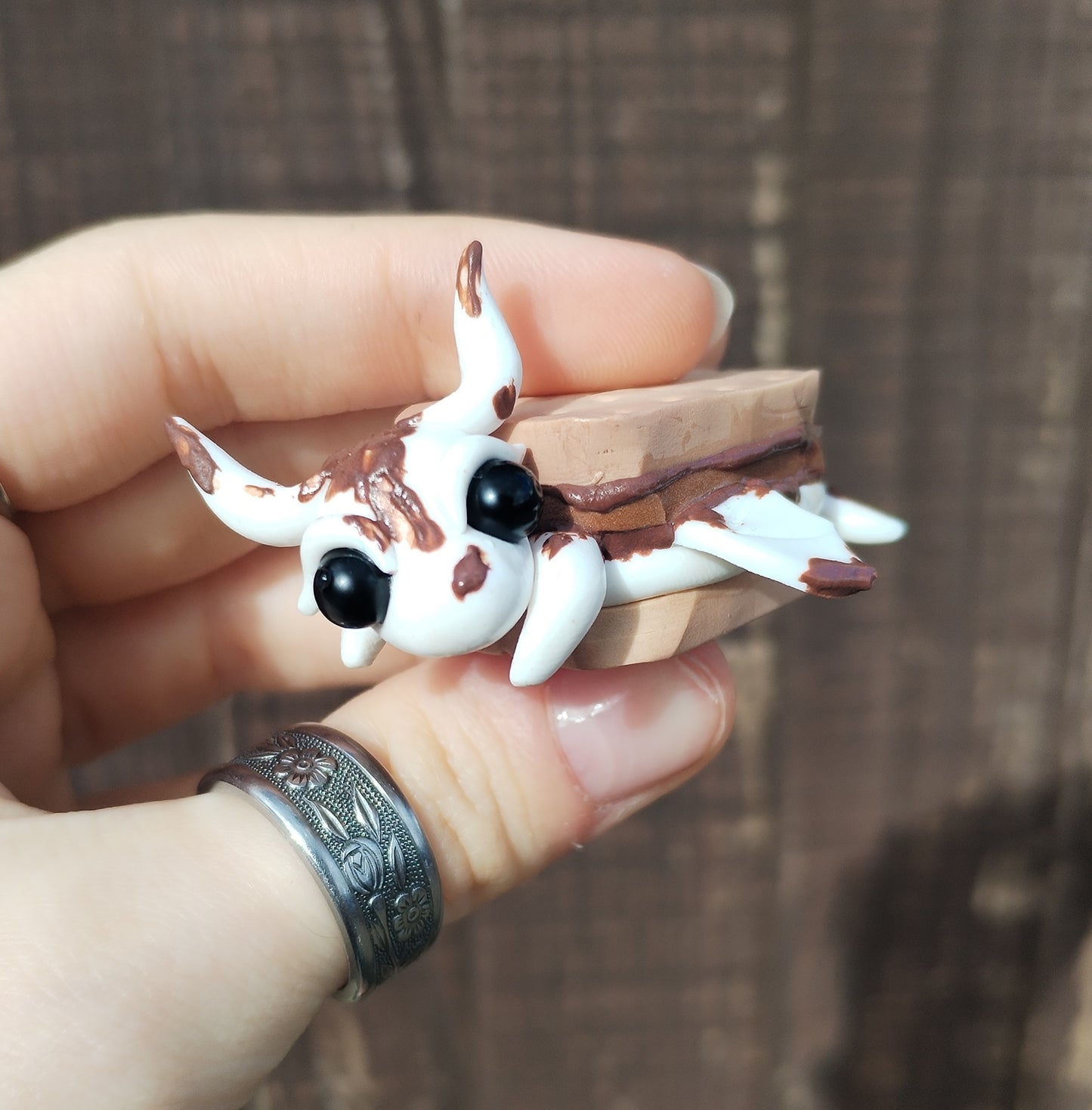 Food Series Dragon S - S'mores