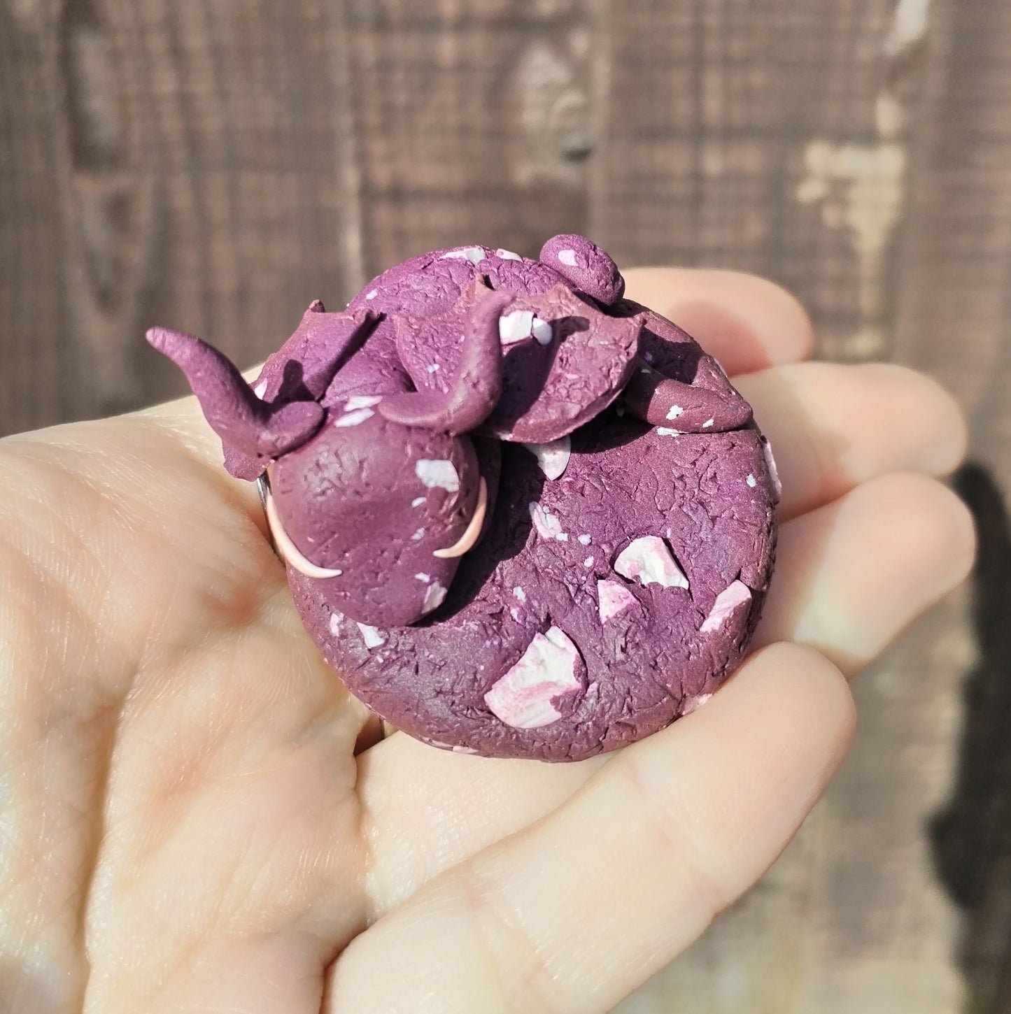Food Series Dragon U - Ube Cookie