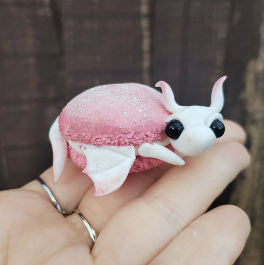 Food Series Dragon M - Macaron
