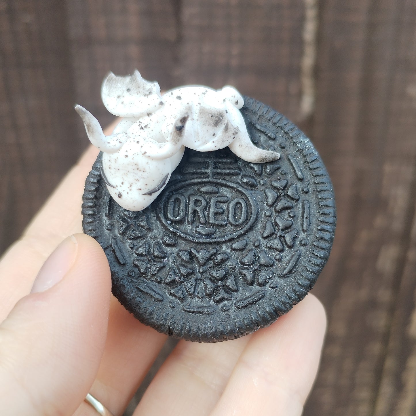 Food Series Dragon O - Cookies and Cream