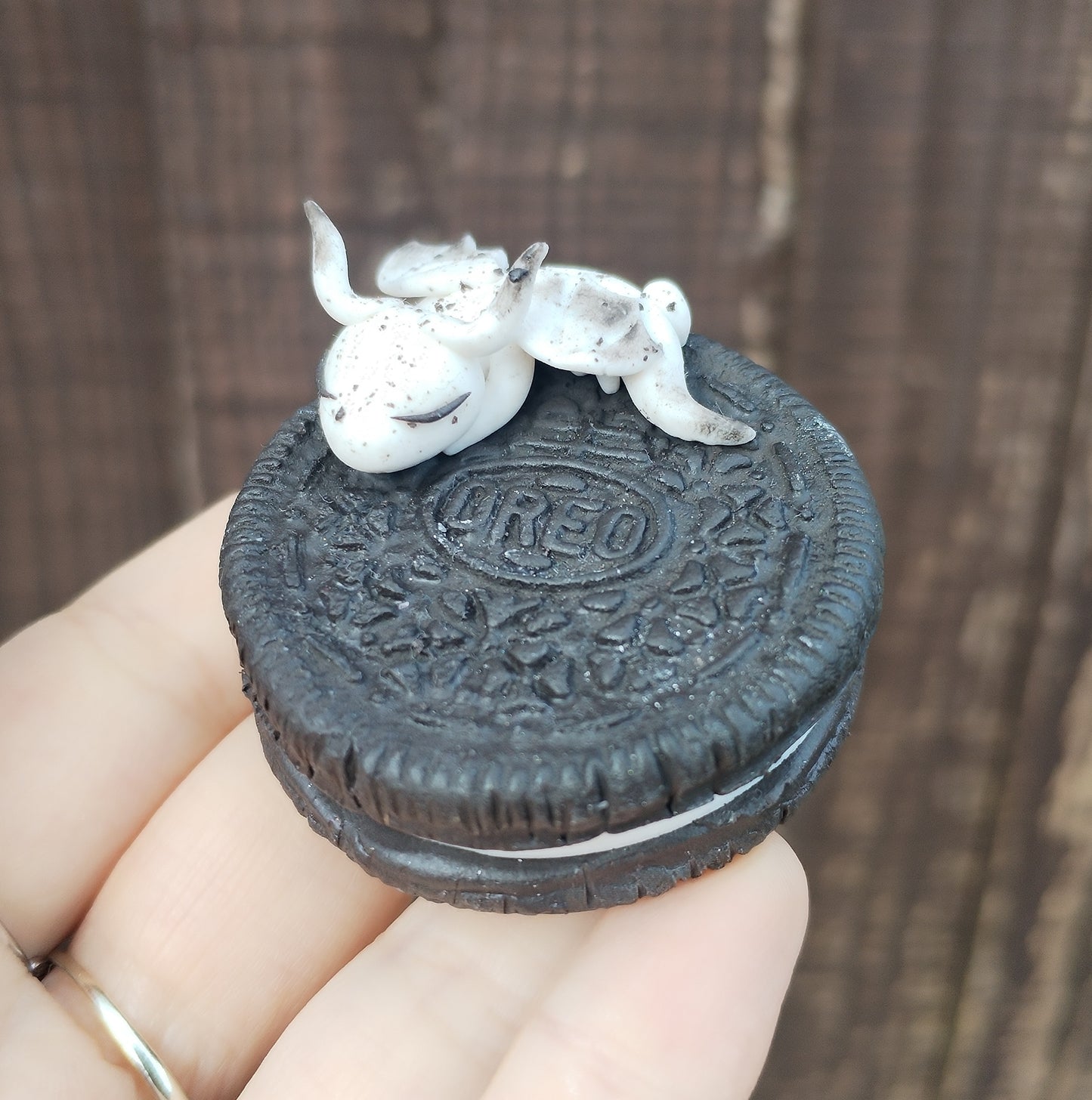 Food Series Dragon O - Cookies and Cream